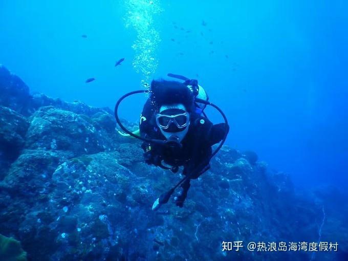 拯救树屋中的女孩
